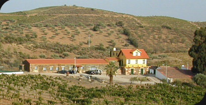 Quinta do Chão D'Ordem